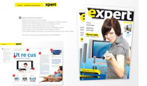 Expert