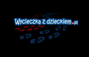 Obsługa Social Media