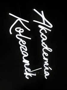 Neon Led