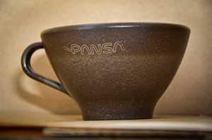 PANSA