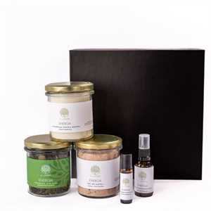 beeHERBS zestaw 07