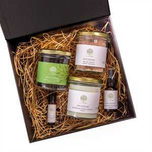 beeHERBS zestaw 08