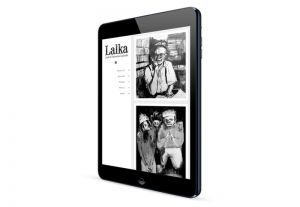 Responsywna strona internetowa www.LALKA.co
