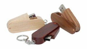 ekologiczne pendrive`y - dużo wzorów