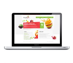 www.strzelsok.pl