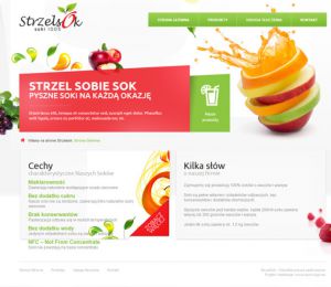 www.strzelsok.pl