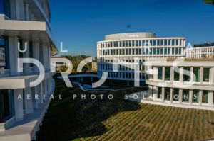 Business Garden