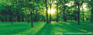 Red park - promocja w social media