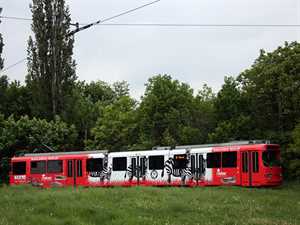 Oklejanie tramwajów