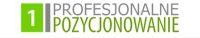 Profesjonalne Pozycjonowanie
