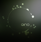 QINO SP.Z O.O.