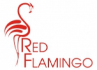 Red Flamingo Krzysztof Budzyński