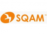 ISTQB Advanced Test Manager