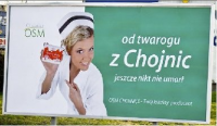Wybierz chamleta wśr&oacute;d reklam!