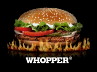 Whooper trafił do telewizji