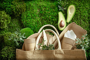 Eko-trendy w marketingu