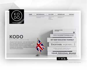 KoDo Business Consulting