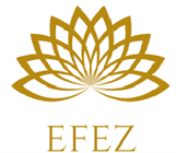 EFEZ- Międzynarodowy transport zwłok