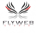 FlyWeb Studio