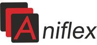 ANIFLEX Spółka Jawna Głowacka i Wpółnicy