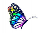 Eve Design Studio Sp. z o.o.