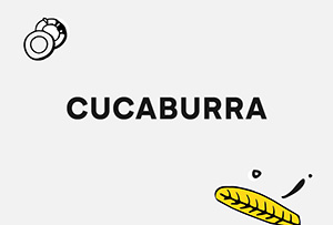 Cucaburra podąża w stronę marketingu B2B. Agencja ma nową strategię