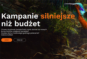 Dom mediowy jako kluczowy element skutecznej strategii marketingowej