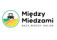 Między Miedzami