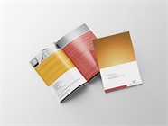 Digital Marketing Solutionz