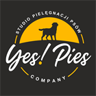 YES PIES COMPANY